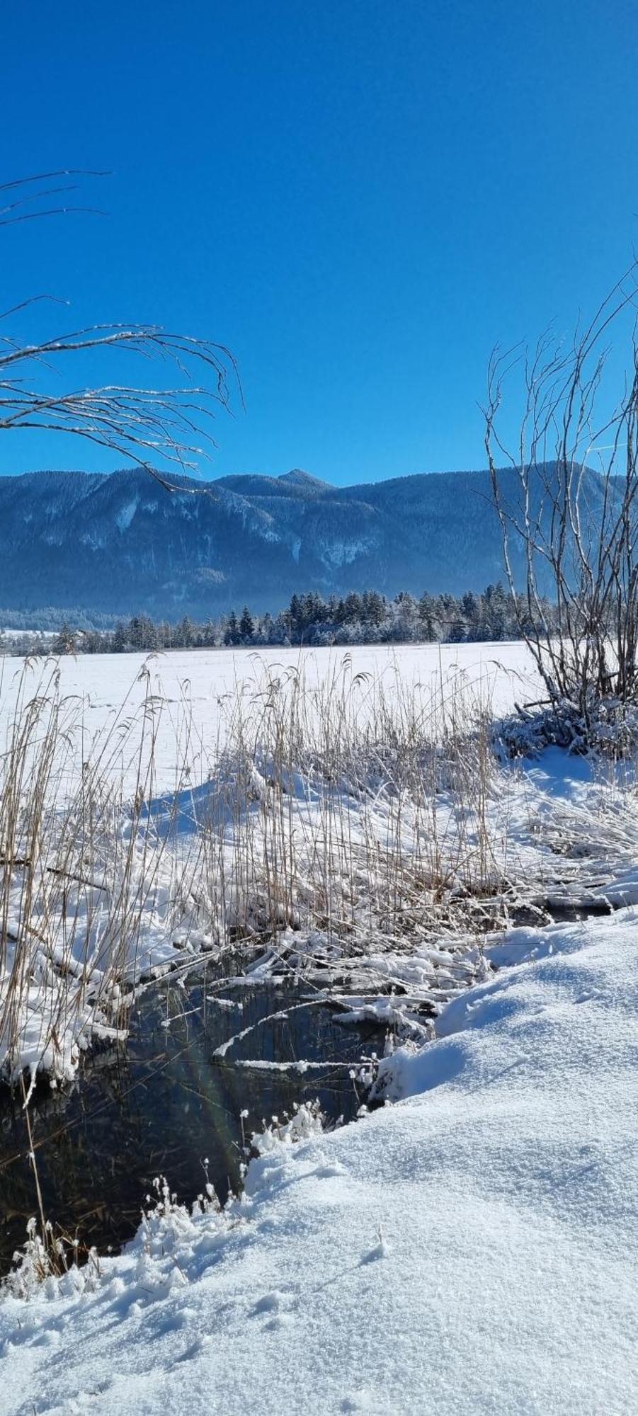 Aparthotel Werdenfels Murnau am Staffelsee Buitenkant foto